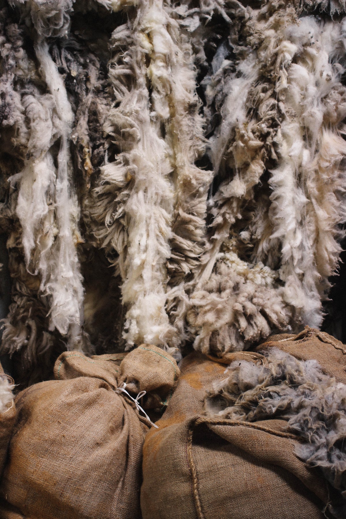 Wool Season