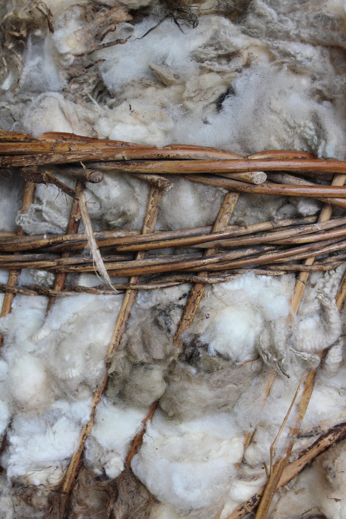 Real Shetland Wool - part 3