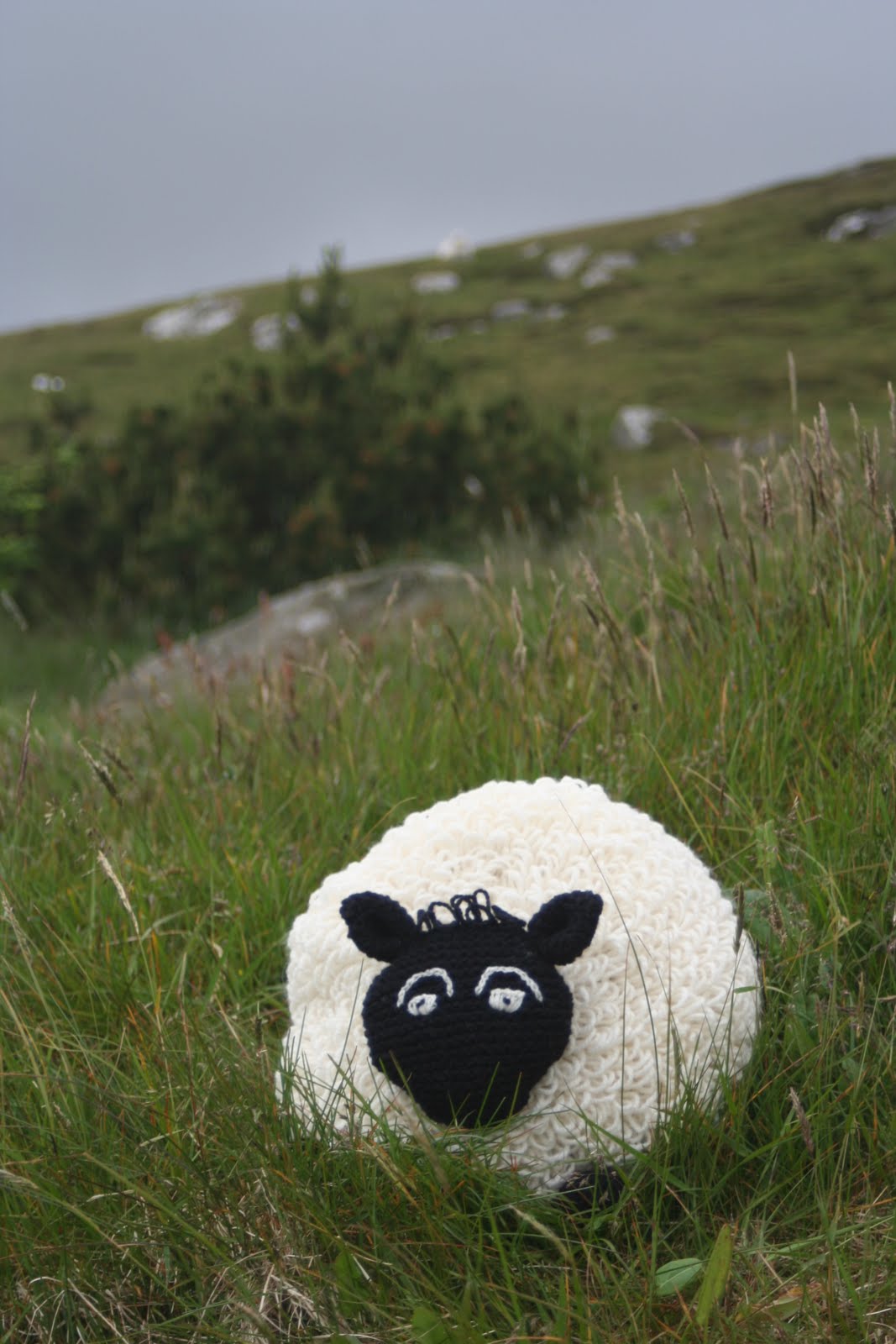 baa