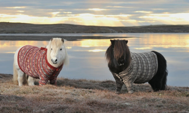 'Shetland'