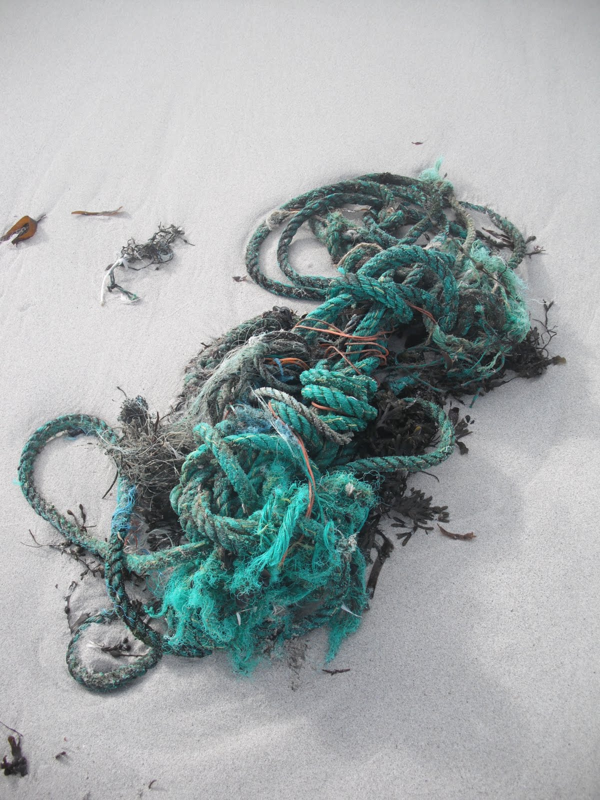 enough rope