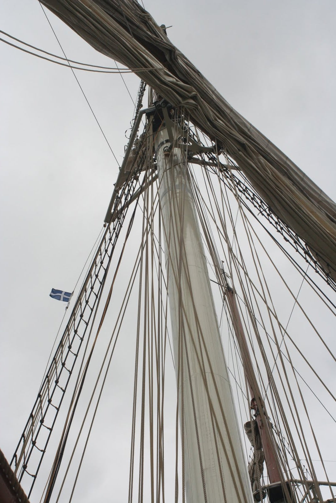 Gulden Leeuw
