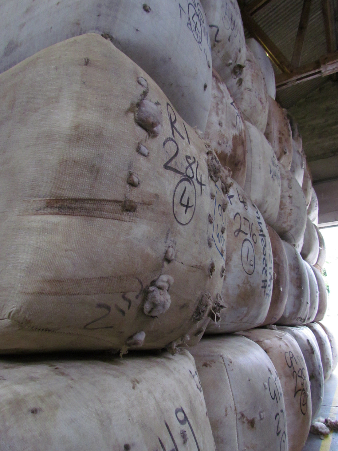 Shetland's Wool Season kicks off