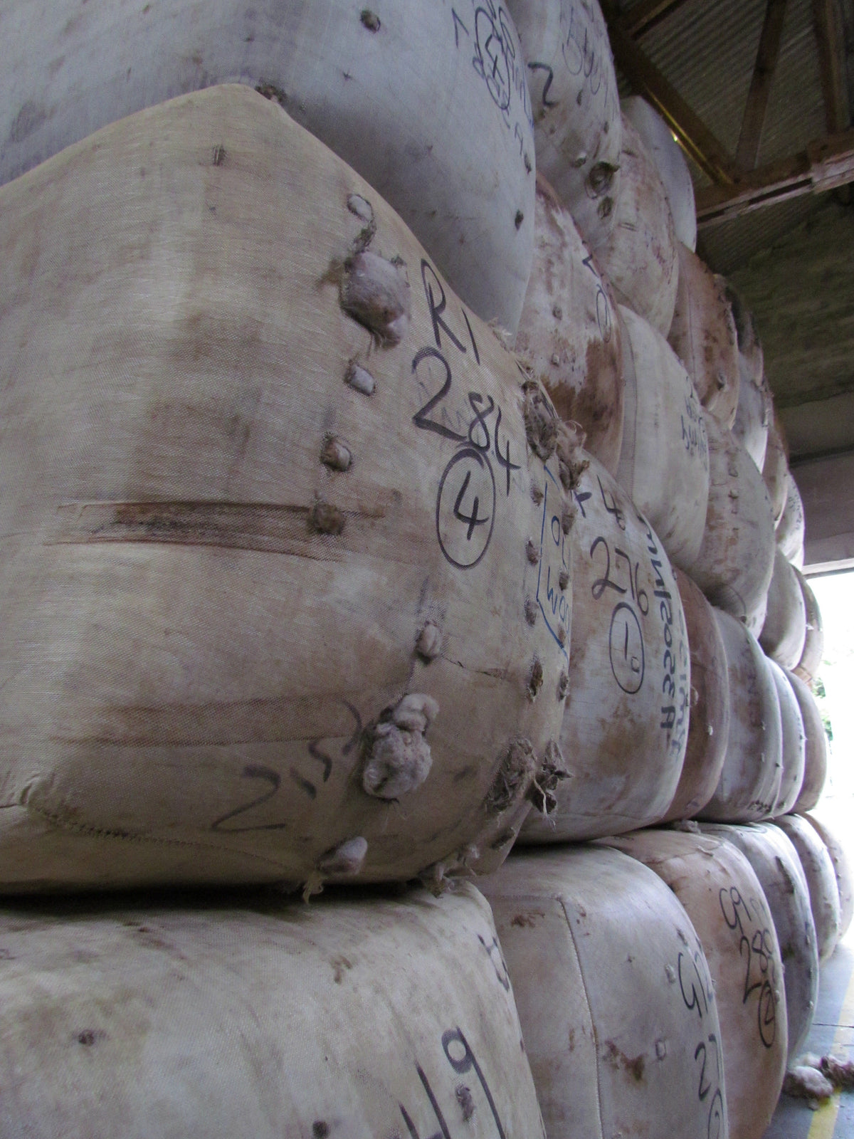 Shetland's Wool Season kicks off