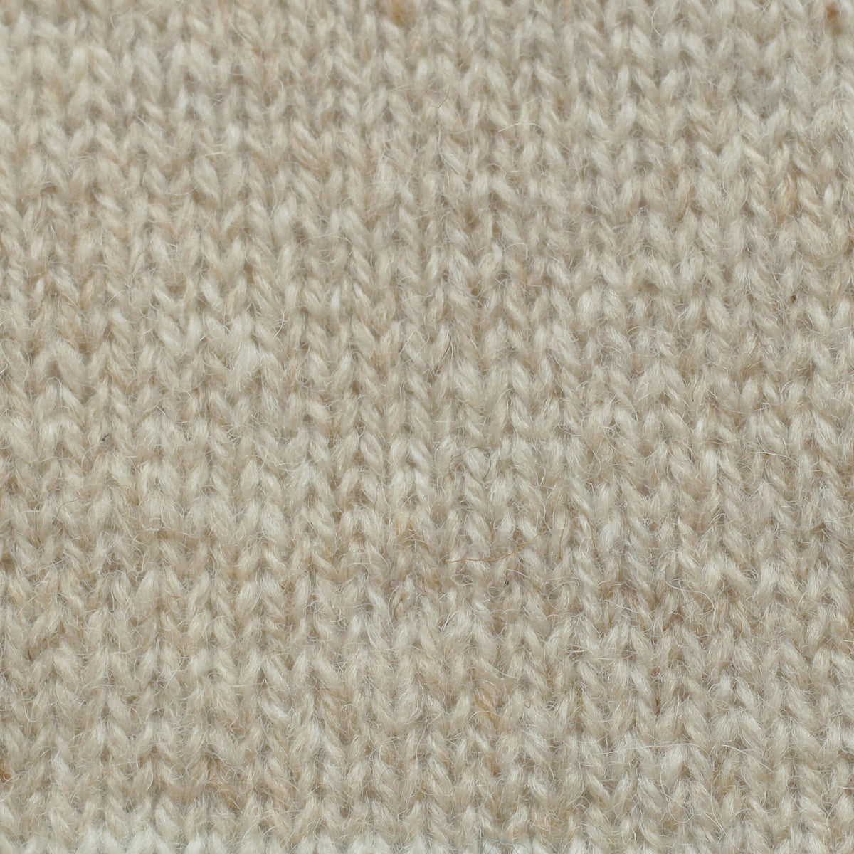 Shade 202 (Light Fawn)