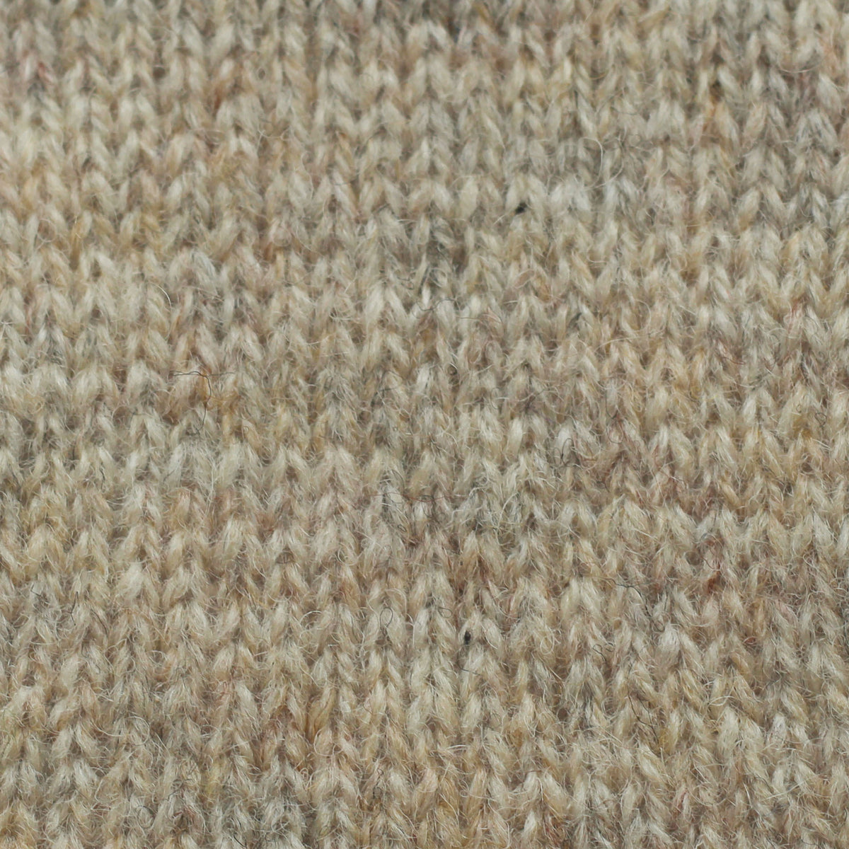 Shade 2 (Grey Fawn)