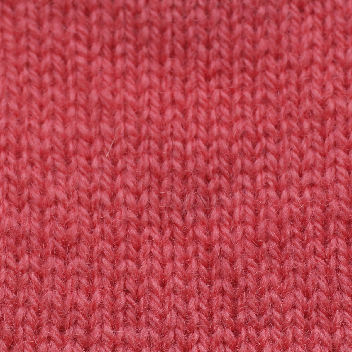 Shade 8 (Bright Pink)