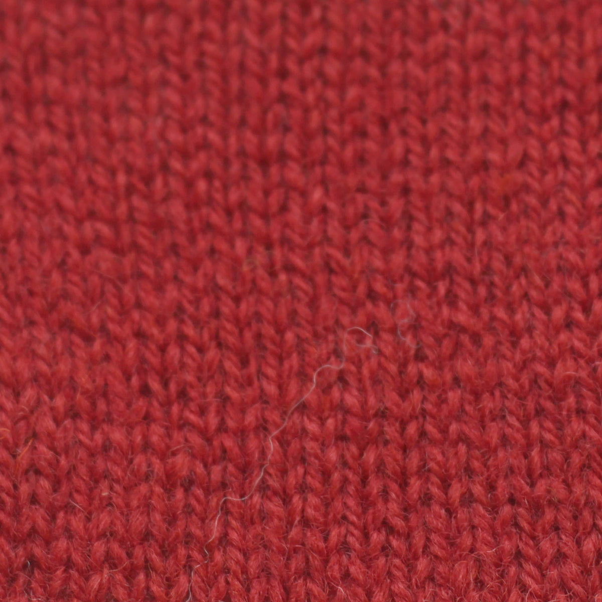 Shade 9097 (Orangey Red)