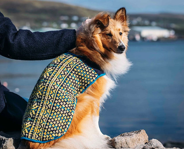 Sunbeam Dug Coat Pattern